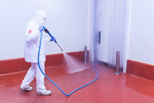 Best Dumpster Area Cleaning  in Cutchogue, NY